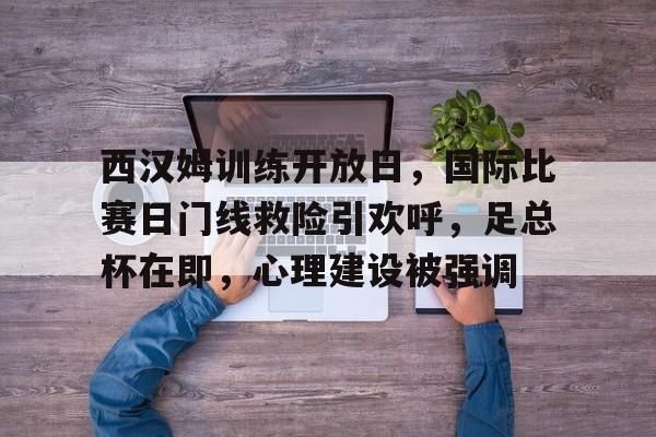 开云体育网页版登录入口-西汉姆训练开放日，国际比赛日门线救险引欢呼，足总杯在即，心理建设被强调的简单介绍